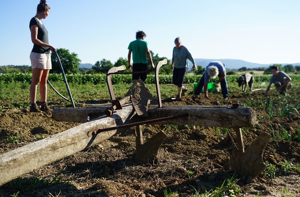 trabajando_la_tierra