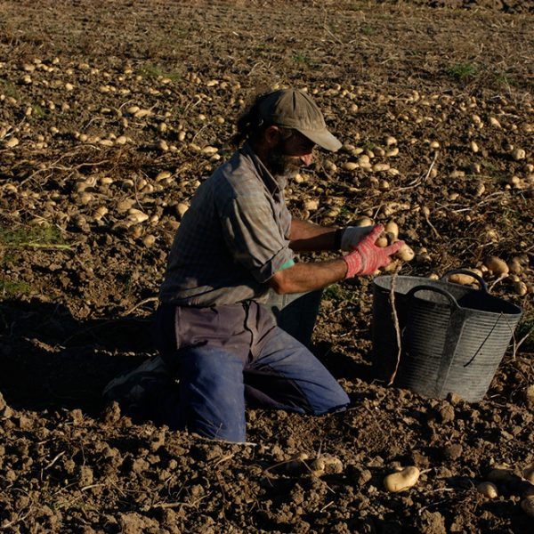 agricultor